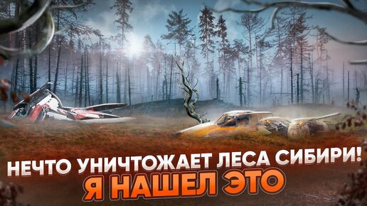 Download Video: УШЕЛ В ЛЕС, СТРАШНЫЕ НАХОДКИ, МРАЧНАЯ ОБСТАНОВКА, ЖУТКИЙ ПОХОД.