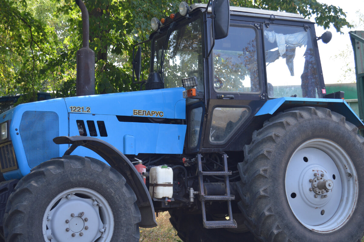 Фото автора. Август 2023. МТЗ. Здесь всё понятно.