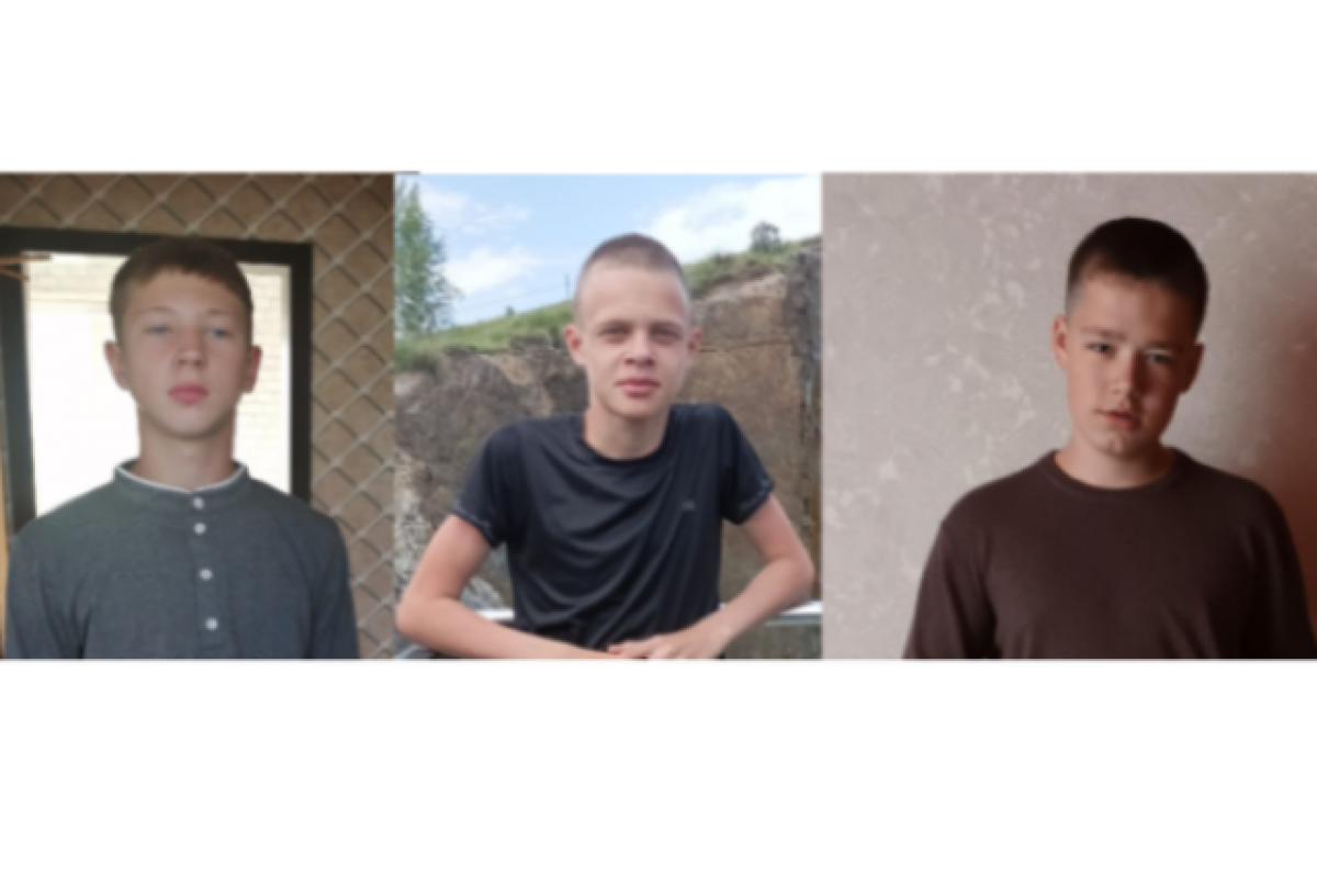   До мальчиков удалось дозвониться, и они сообщили, что заблудились.