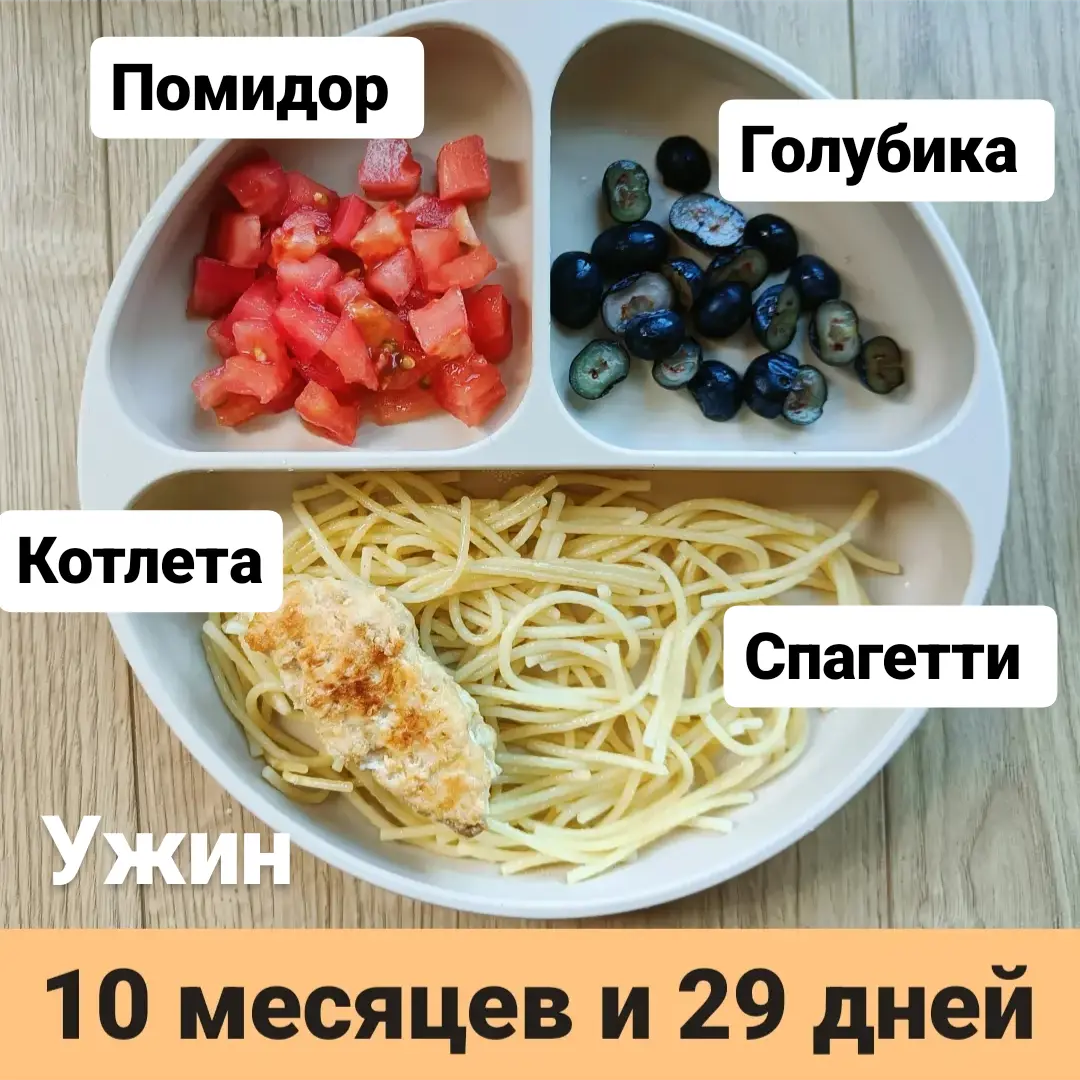 Пример тарелки в 10 месяцев 