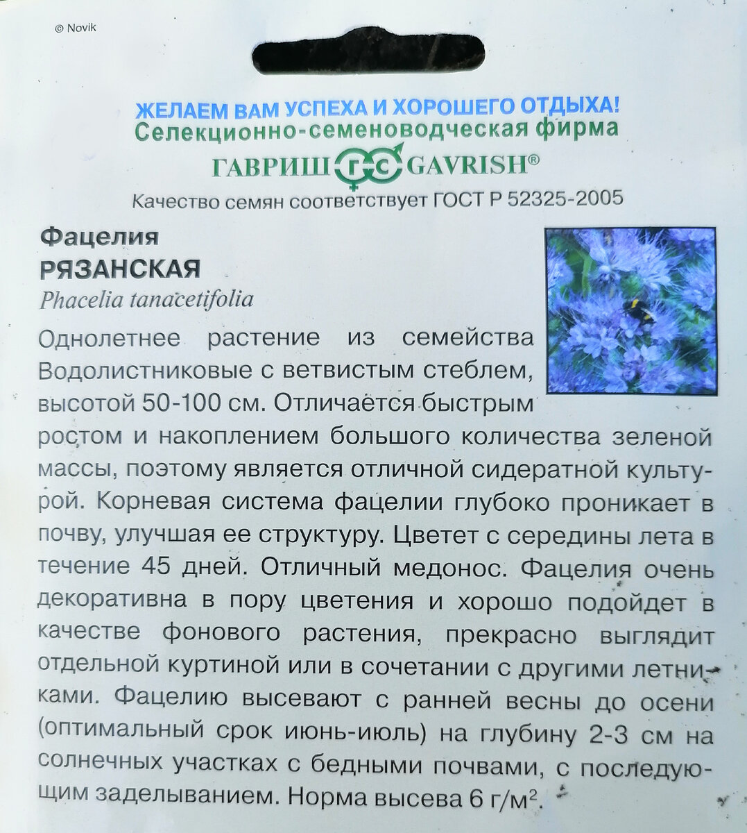 Фацелия рязанская описание