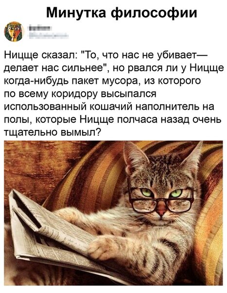 «Все, что меня не убивает, делает меня сильнее!», — сказал Ницше, сошел с ума и умер