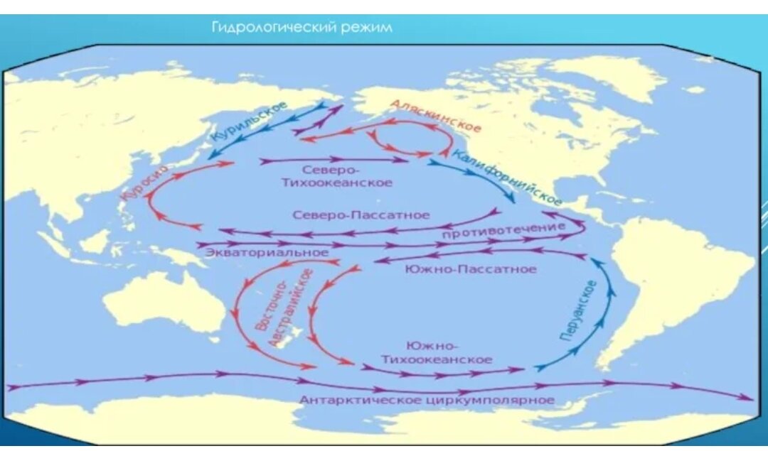 Калифорнийское течение холодное. Течения индийского океана теплые и холодные. Морские течения Гольфстрим Куросио. Северное пассатное течение индийского океана. Течение западных ветров на карте индийского океана.