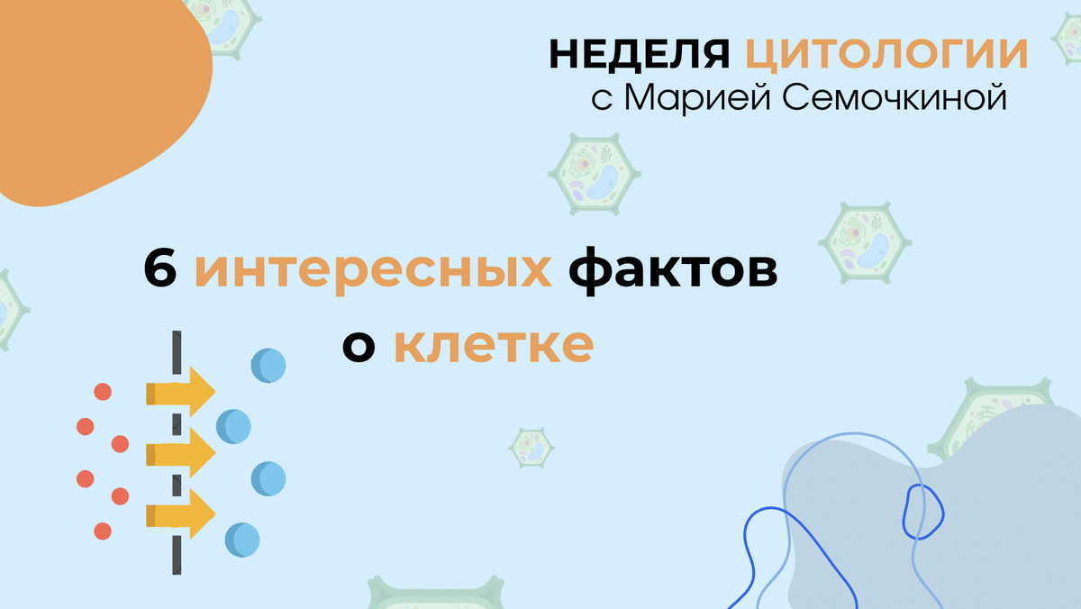 Подготовка к ЕГЭ по биологии с Марией Семочкиной 