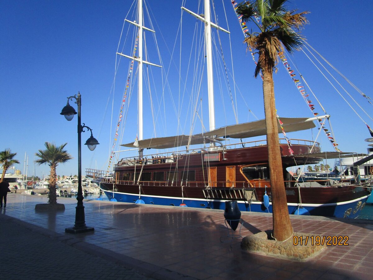 Фото для статьи на Дзен.