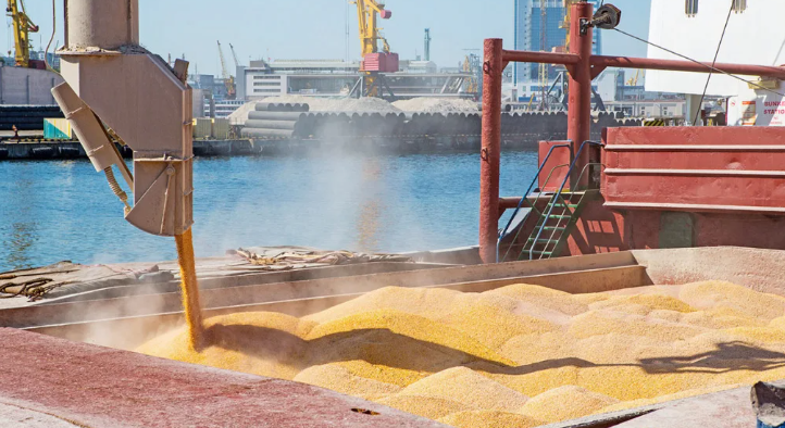 фото с сайта sovsekretno.ru