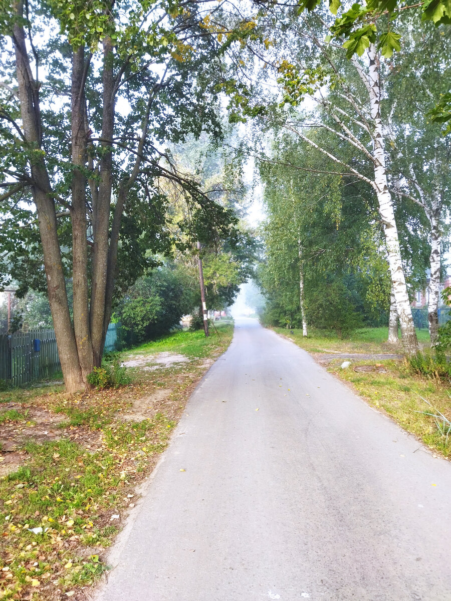 Улица моя. Туман. И листья увядающие стелют покров для будущего сна.