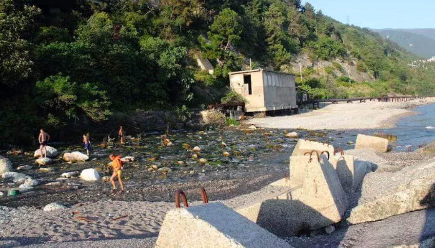 Фото из открытых источников yandex.ru