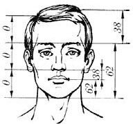      Пропорциональное расположение элементов лица