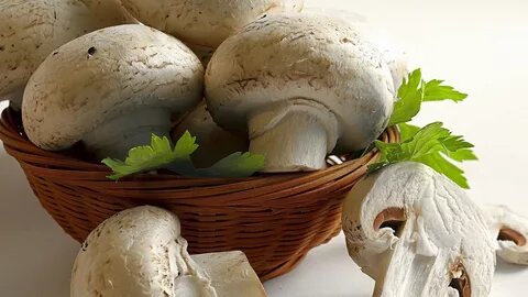 Здравствуйте,  друзья! Сегодня мы узнаем, чем полезны грибы  шампиньоны.  Шампиньоны содержат вещества, предотвращающие сердечно-сосудистые болезни, рак различного вида, ослабление иммунитета и даже помогают избавиться от этих болезней. Так что лекарство от этих грозных болезней -  инфаркта, инсульта, гипертонии,  рака и многих других тяжёлых болезней находится буквально под ногами. Итак, читайте, чем полезны грибы шампиньоны, какие полезные вещества они содержат.  В отличие от ранее рассмотренных методов, нам не придётся специально очищать организм, так как  при регулярном  употреблении шампиньонов в пищу, организм чистится автоматически. Это происходит от того, что в шампиньонах есть полезные вещества, способствующие чистке организма. 