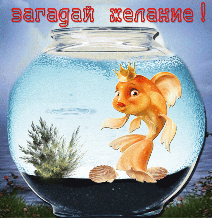 картинка из свободного доступа в интернете