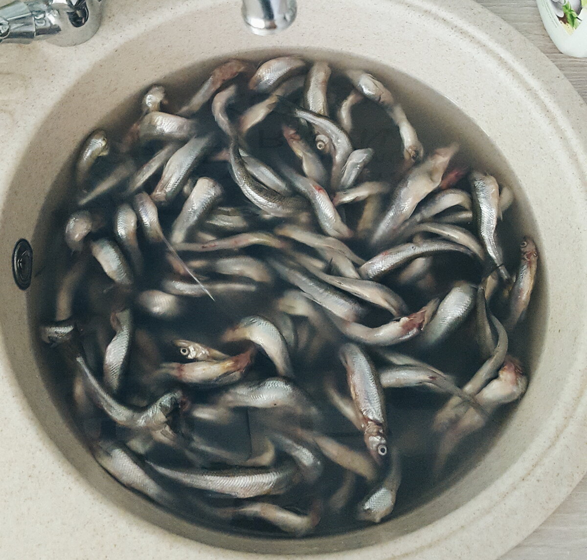 Кто-то чистит прямо в раковине