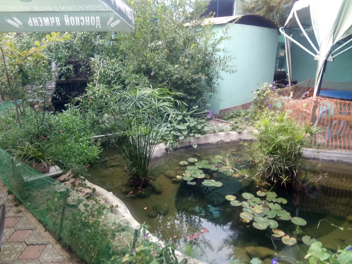 На территории есть даже пруд с рыбками!)