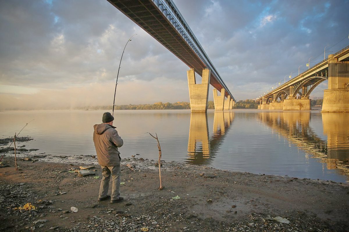 Фото - яндекс.картинки