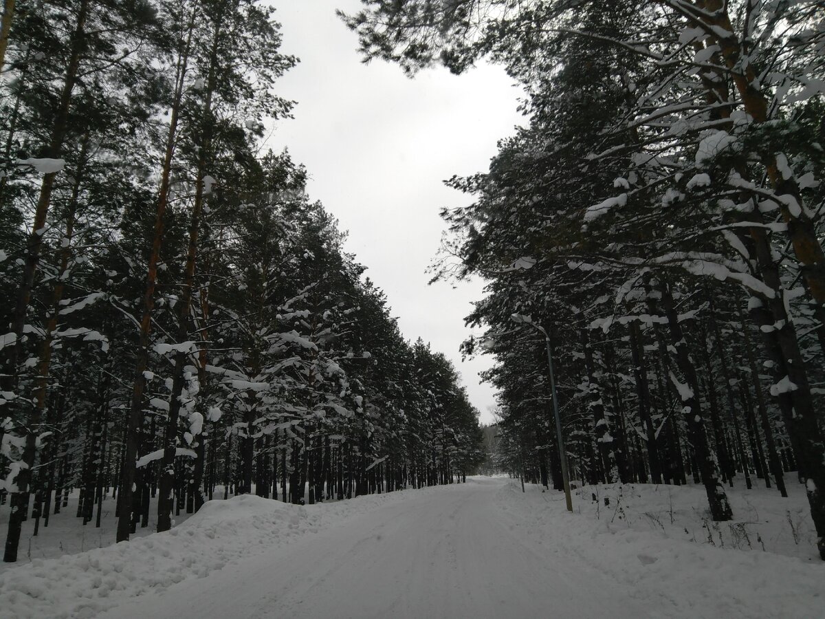 В далеком уже 2010 году, я машину на ночь не оставлял у дома, а ставил на охраняемую стоянку. Дорога от дома до стоянки шла через парк, к тому времени уже заброшенный. Так вот, если я не ошибаюсь 15 января 2010 года, как обычно поставил машину на стоянку и пошел домой через безлюдный парк.
	На улице -15 - 17 градусов мороза примерно, темнело. Снега было много и идти приходилось по узкой тропинке. Уже пройдя половину дороги до дома, в метре от тропинки я увидел мужика который лежал в снегу. Как мне показалось он уже замерзал, напомню на улице -15, сколько он там провалялся я не знал.
Растормошил его, растолкал. Он открыл глаза и видимо не сразу понял где находится.
Потом когда до него дошло что он лежит в снегу, он попросил меня : "Парень вытащи меня отсюда!"
Помог ему подняться, вывел на тропинку, спросил где живет. Дошли до дороги, поймали машину, посадил его в автомобиль и сам сел рядом что бы быть уверенным что до дома доедет.
	В машине мужик, видимо отогревшись стал неадекватно себя вести, что то орать, кидаться на меня и водителя, хорошо что ехать было не далеко.
Подъехав к дому который он указал, вышли из машины. Вернее выбежали из машины.
Водитель тут же уехал.
Мужик пошел с кулаками на меня. Особого желания драться с ним не было
я пятился от него назад и пытался ему объяснить что вытащил его замерзающего из сугроба. Но он особо не прислушивался к тому что я говорил.

Позабыв про благородные чувства, послал его куда подальше и ушел, оставив у подъезда, надеясь что теперь до квартиры сам дойдет.

Чувствовал себя погано, вроде хорошее дело сделал, человека в мороз спас, а за это чуть "люлей" не отхватил. 

Теперь наученный горьким опытом даже не знаю как поведу себя если еще раз подобное со мной произойдет.
 
