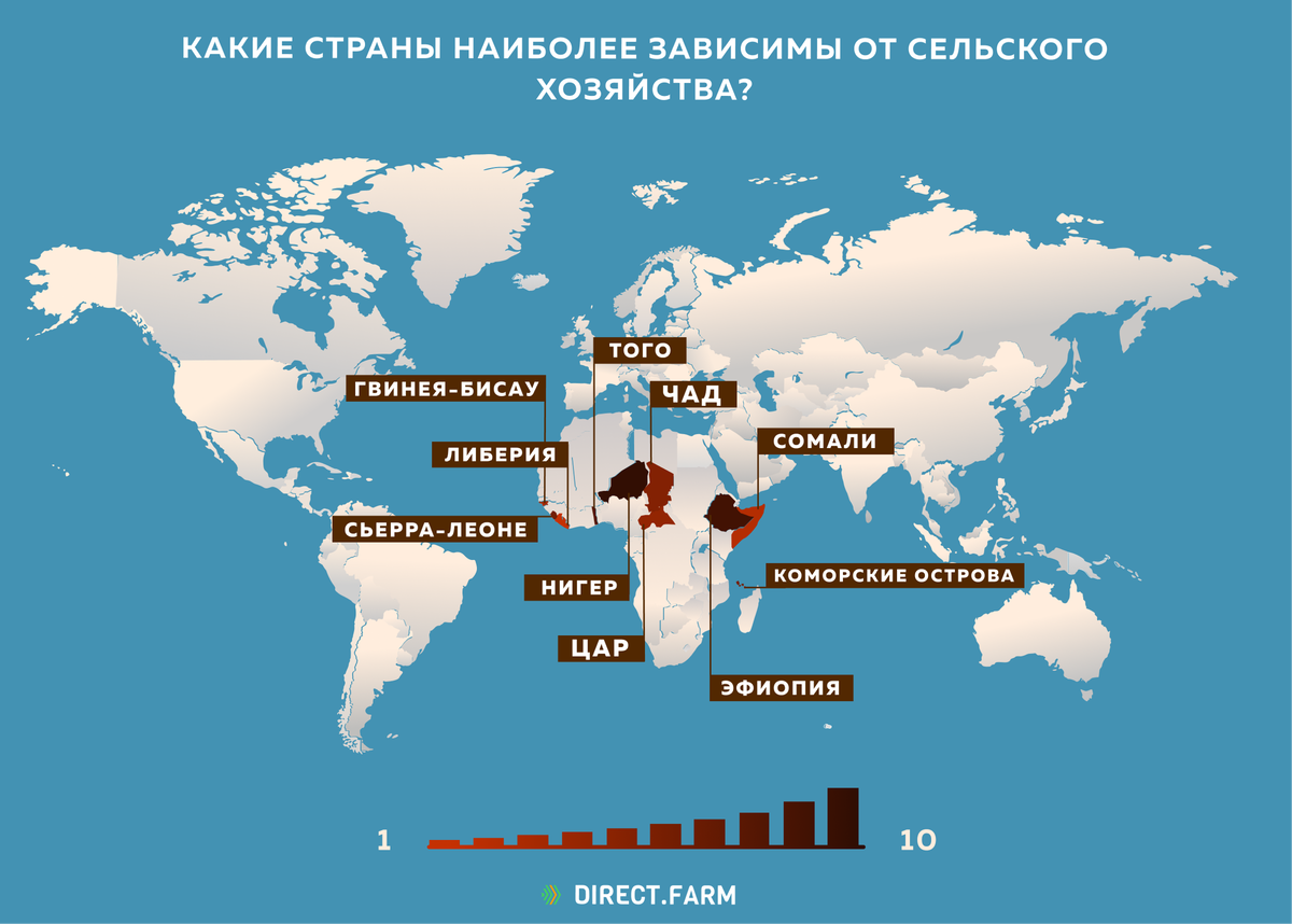 Какие страны наиболее. Какая самая интересная Страна. Страны с наиболее открытой экономикой. Какая самая Старая Страна в мире. 10 Стран с наиболее разыитым сельских ХЛЗ