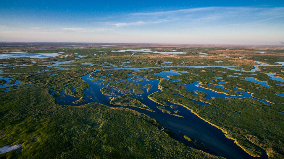 Дельта реки Или. Источник изображения: Яндекс картинки.