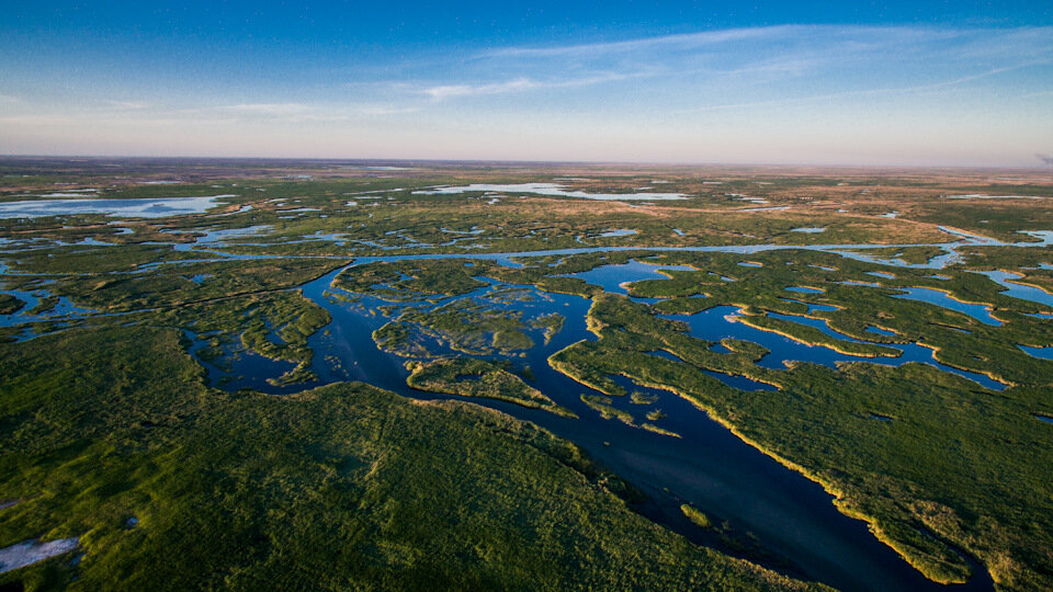 Дельта реки Или. Источник изображения: Яндекс картинки.
