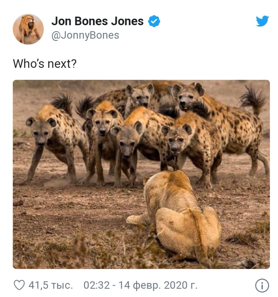 Твит Джона Джонса