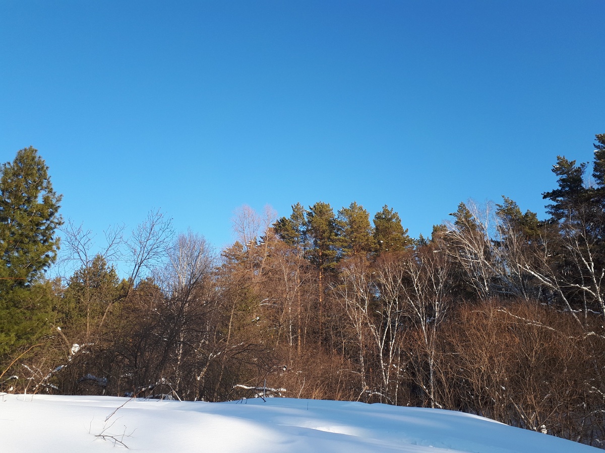 Прогулка на свежем воздухе. Фото из личного архива автора