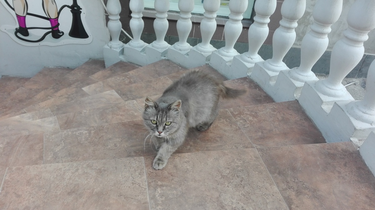 Фото: Никищенко Иван, sogort 