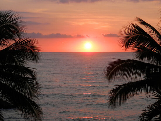 Фото - wallpaperflare.com