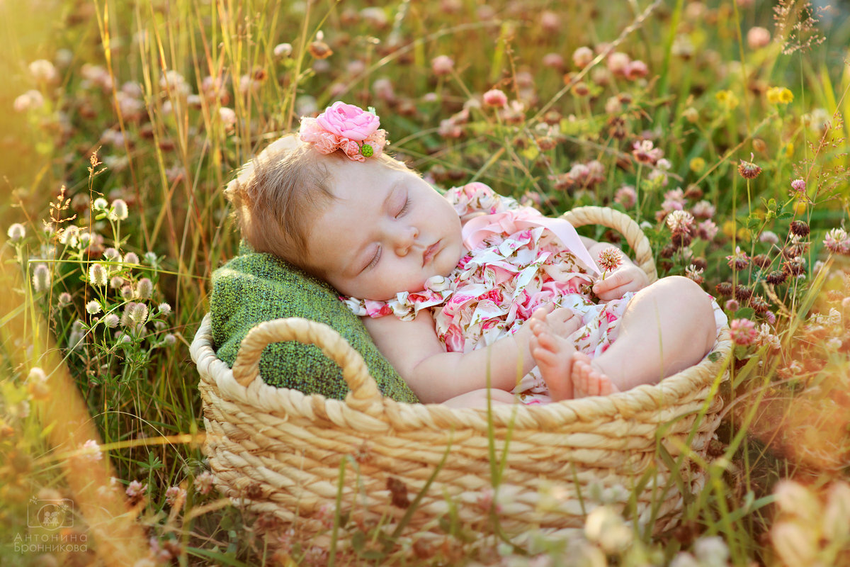 Загородная жизнь