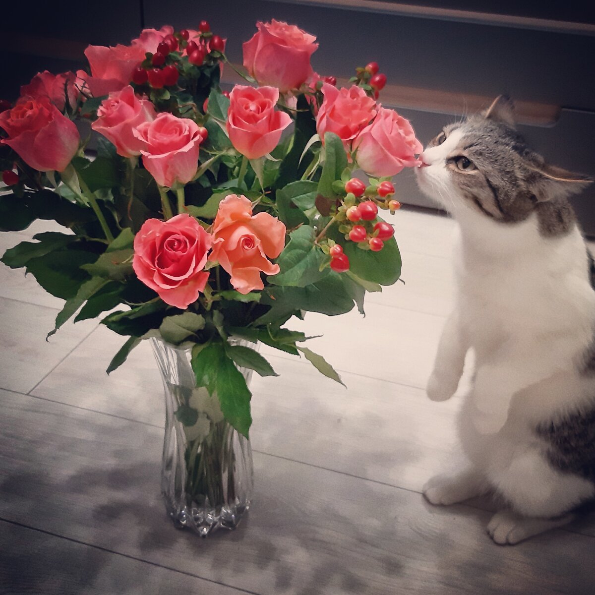 Жизнь в кайф