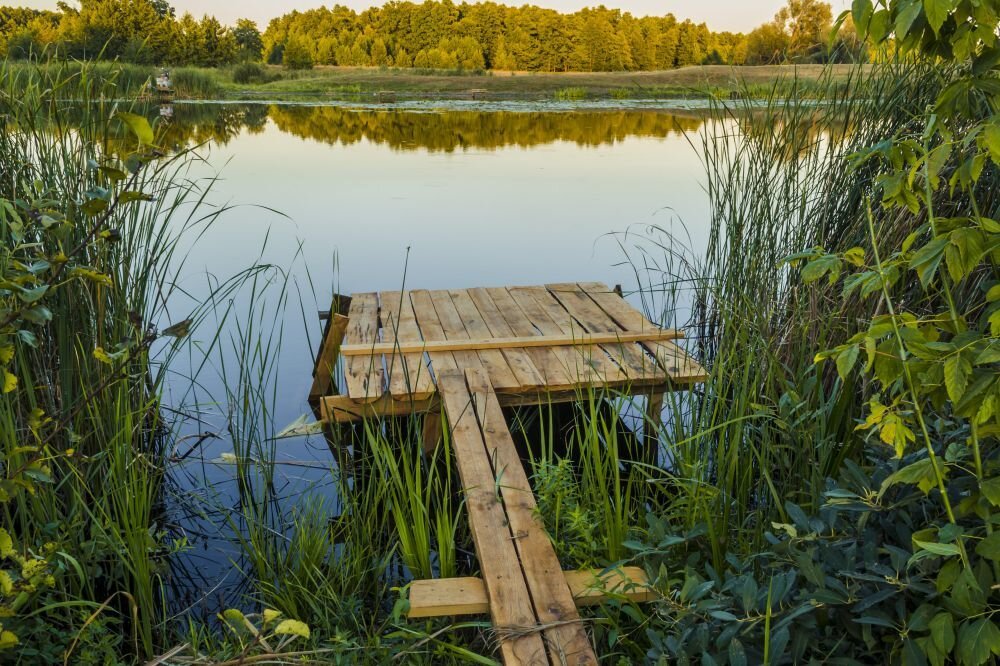 Красивый водоём рыбалка