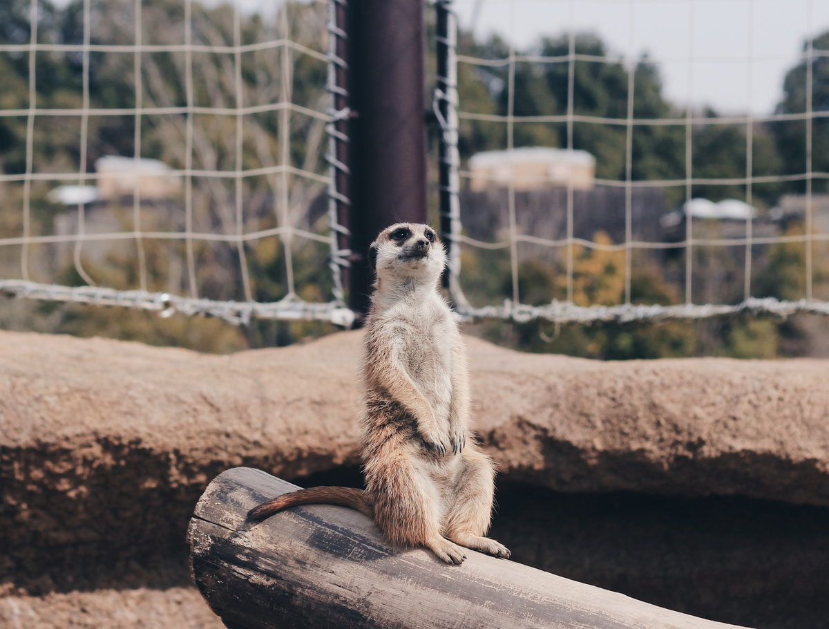 Это я в день рождения,  после того, как удалюсь из группы: жду звонка от подружаек!