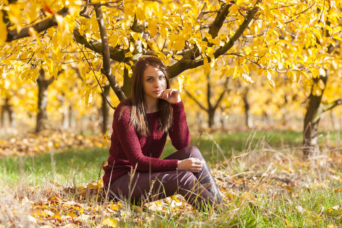 постигаю дзен