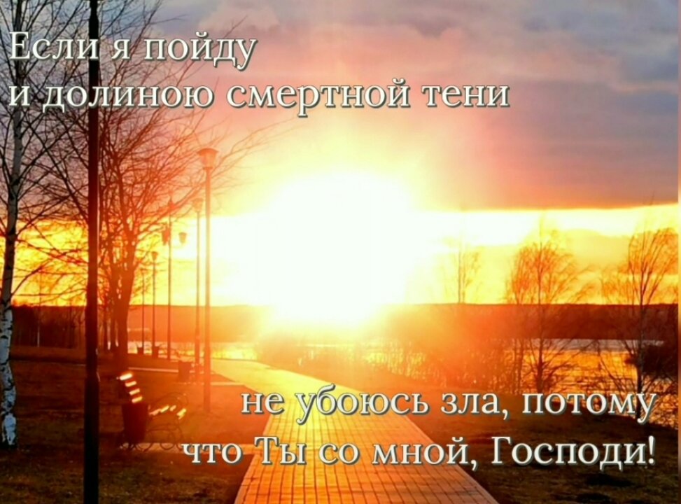 В конце моего пути засияло Солнце