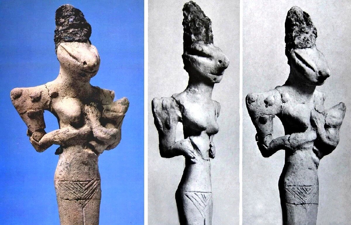 фото из открытого источника