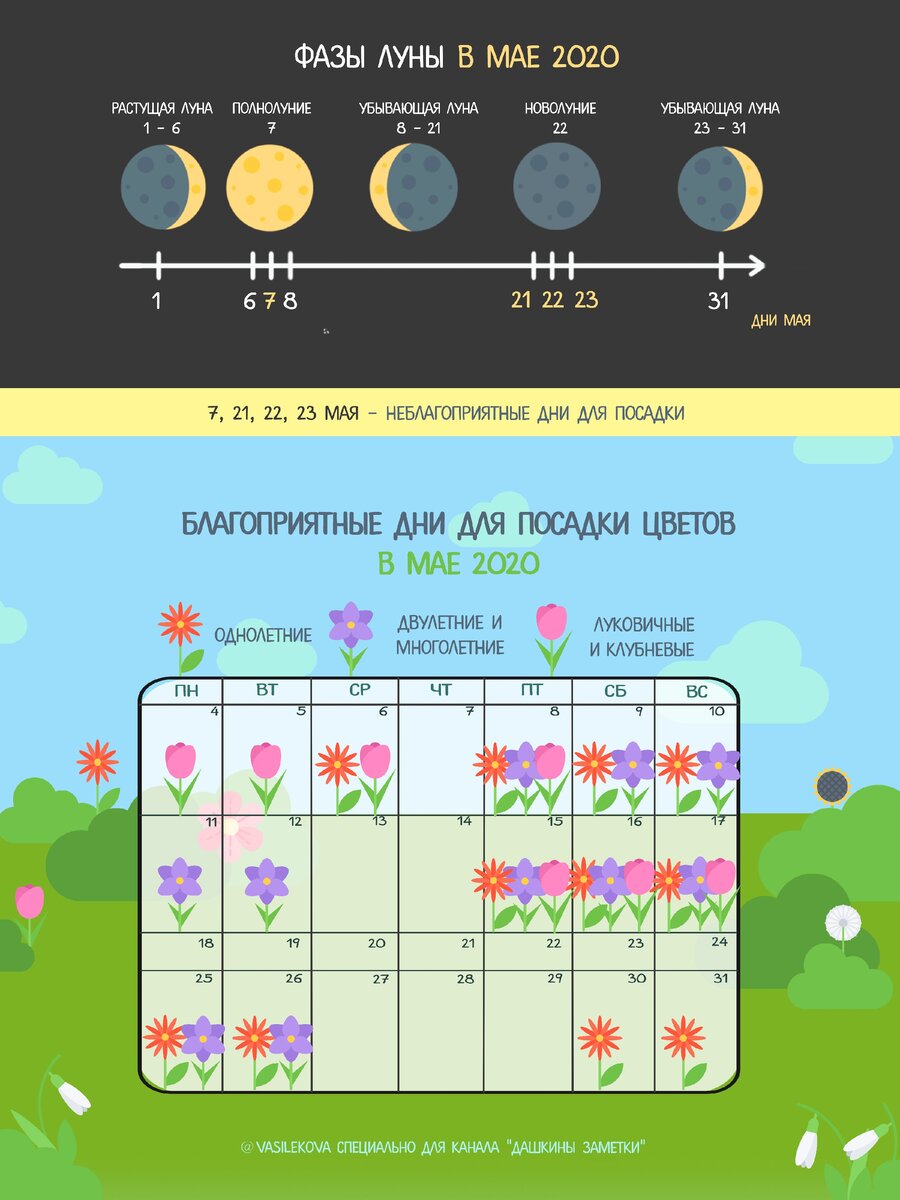 Фазы сейчас. Календарь посадки цветов. Фазы Луны для посадки. Фазы Луны для посадки цветов. Лунный календарь для цветов на 2020.