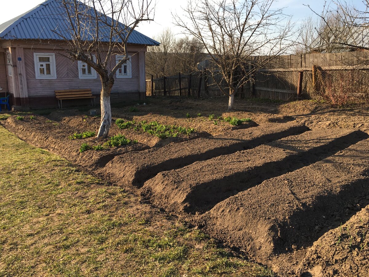 Наш небольшой домик