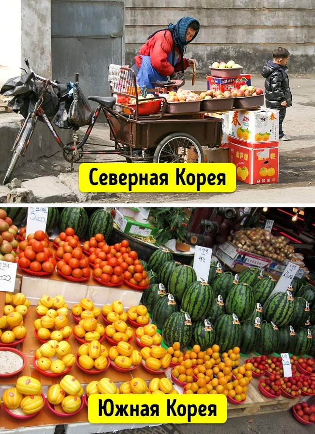 Северная и южная корея разница
