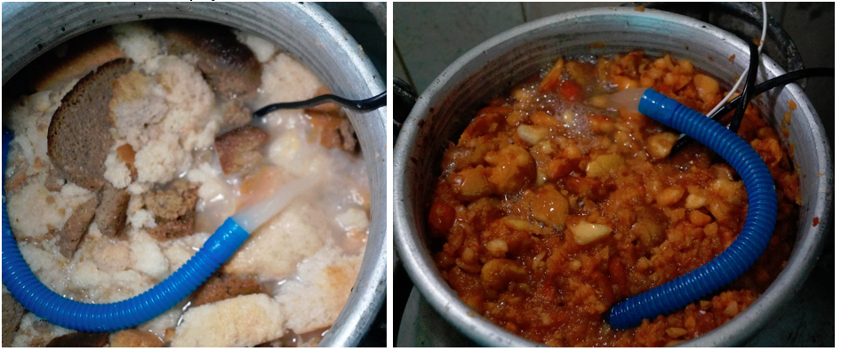 Слева подкормка на сухарях, справа яблоко. Шапка толщиной сантиметров 10. На фото виден шланг от аквариумного насоса. 