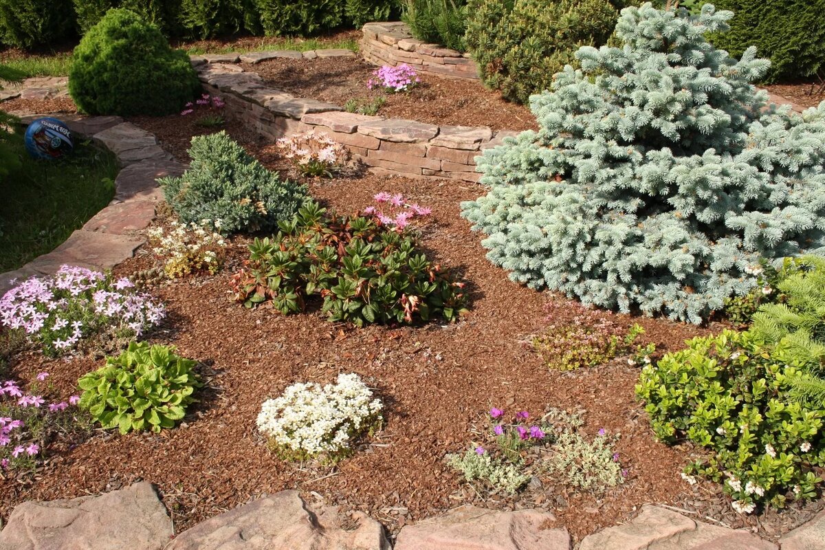 Мульча полезна для посадок