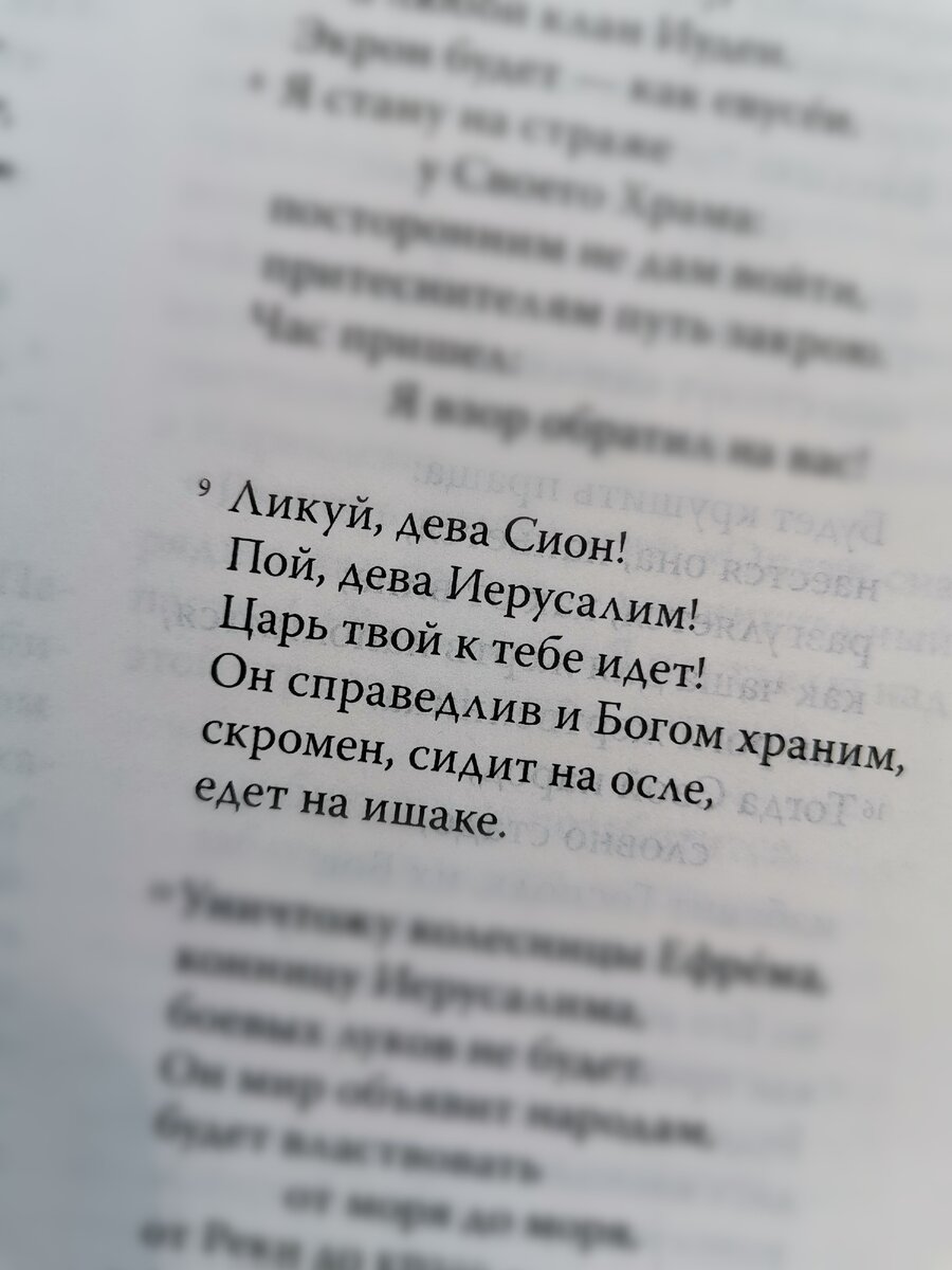 Захария 9:9, СоП