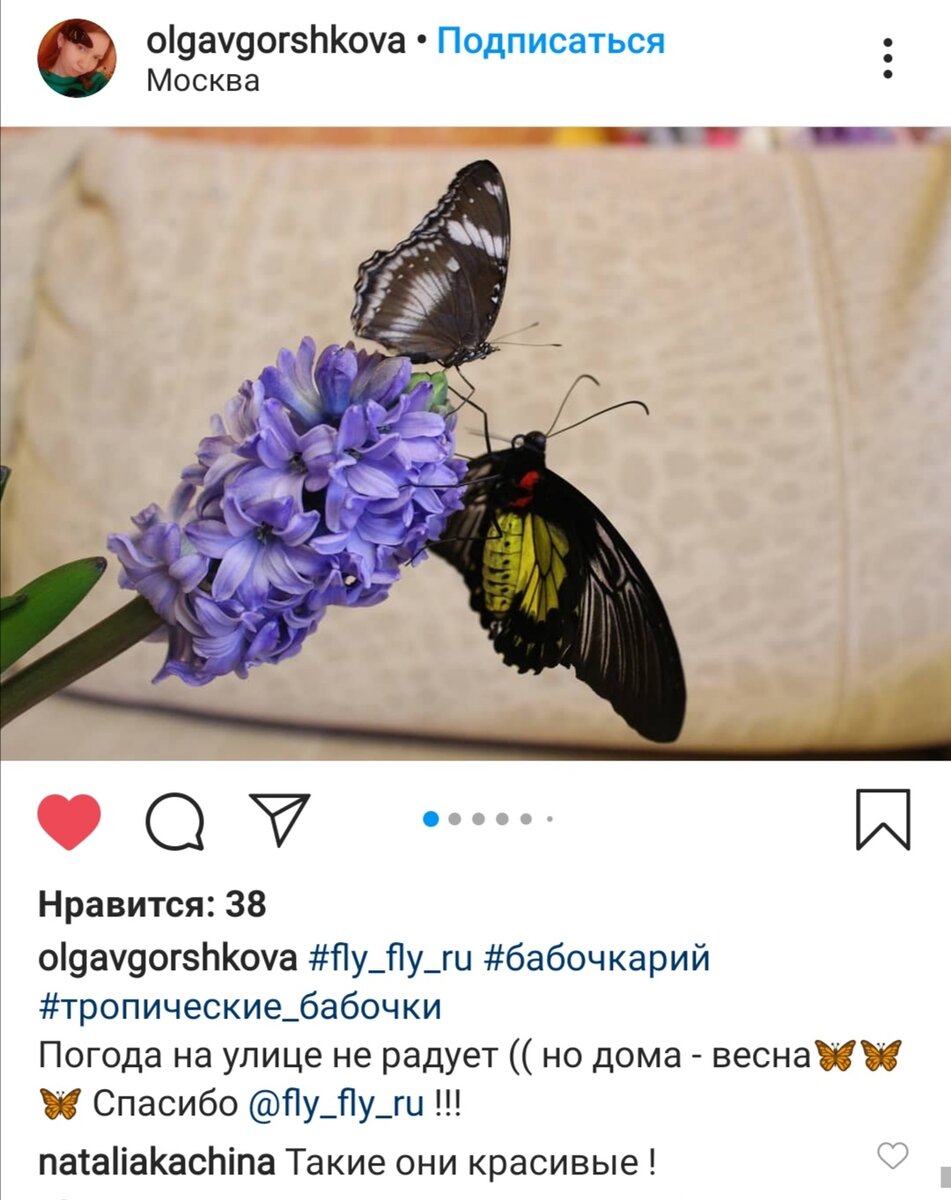 Отзыв о ферме бабочек