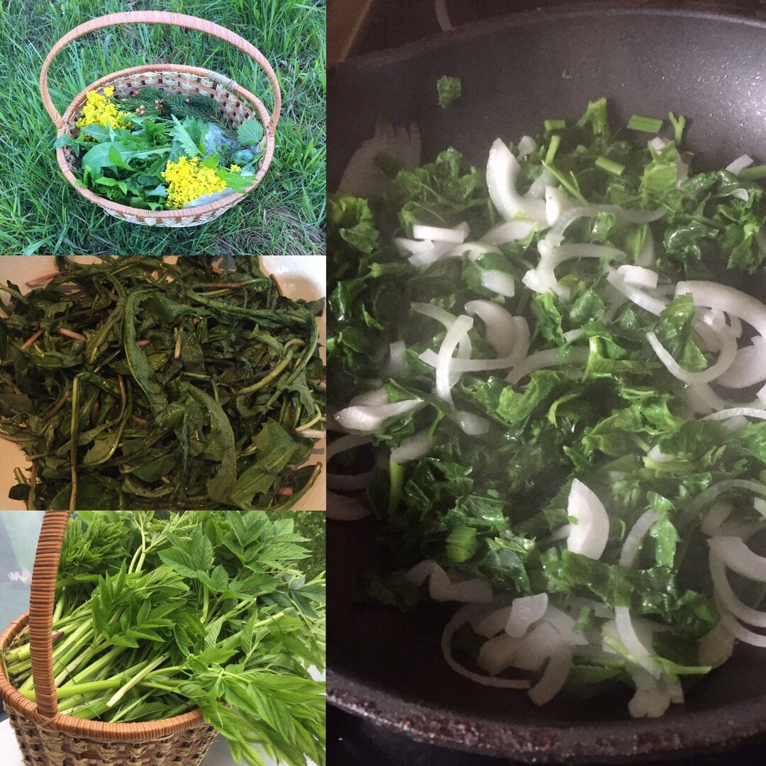 ТО, ЧТО РАСТЕТ ВОКРУГ НАС ИДЕАЛЬНО ВОСПОЛНЯЕТ  ВИТАМИННО- МИНЕРАЛЬНЫЙ БАЛАНС. УСКОРЯЕТ МЕТАБОЛИЗМ. ЗАРЯЖАЕТ ЭНЕРГИЕЙ И ОЗДОРАВЛИВАЕТ. 