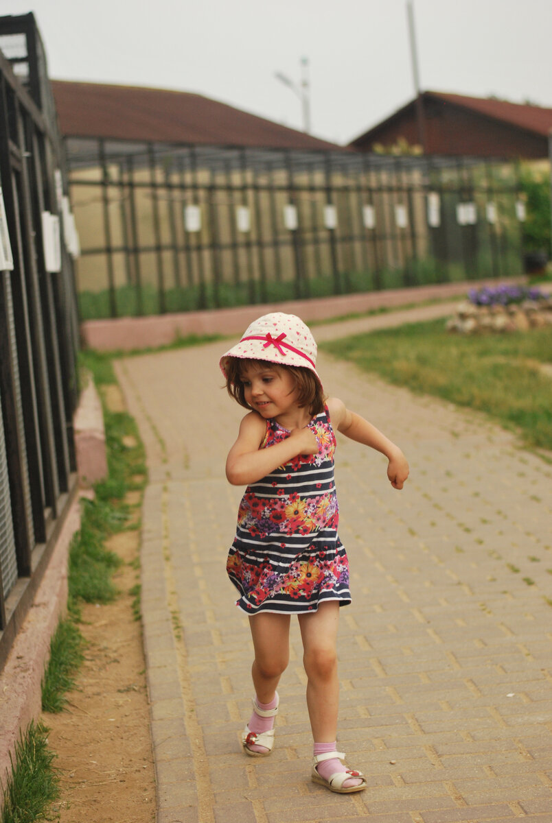 Вдоль клеток с птицами