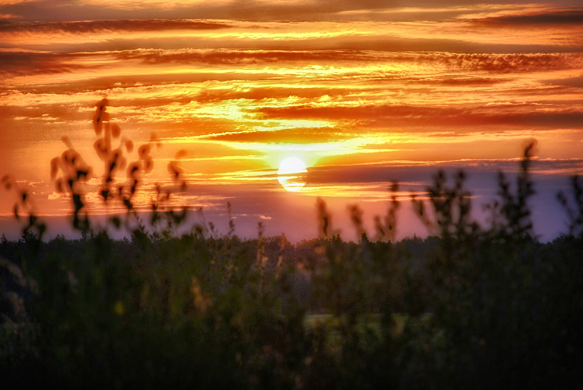 (@photocentra.ru)
