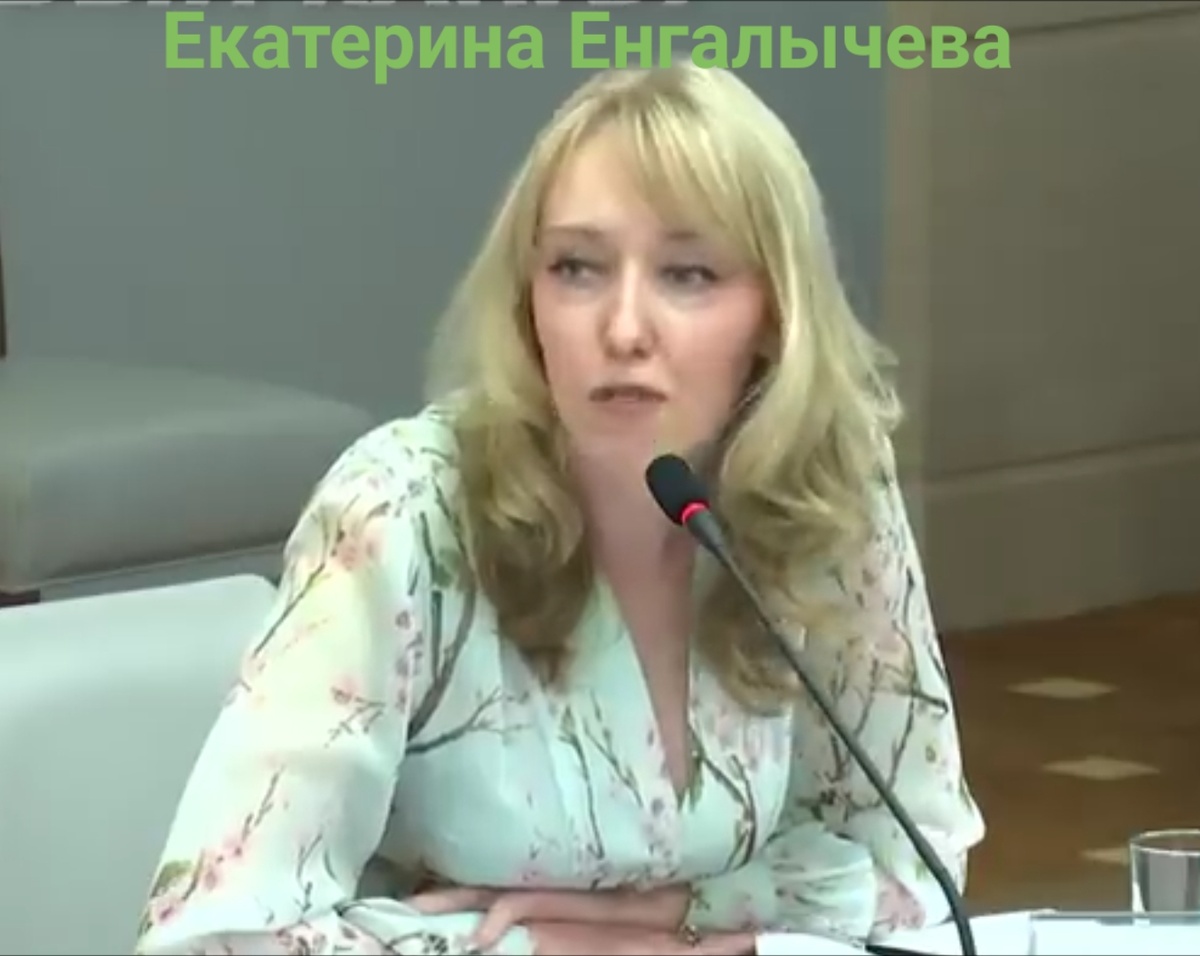 Она поддержала проект назвав его ошибочным. 