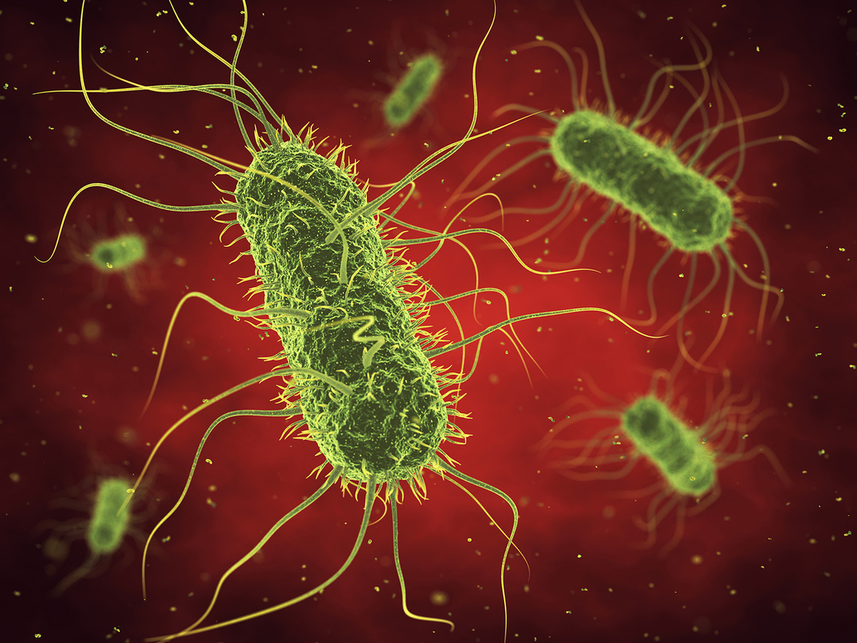 Опасные заболевания вызванные бактериями. Бактерии. Первые бактерии. Красивые бактерии. Микробы и бактерии.