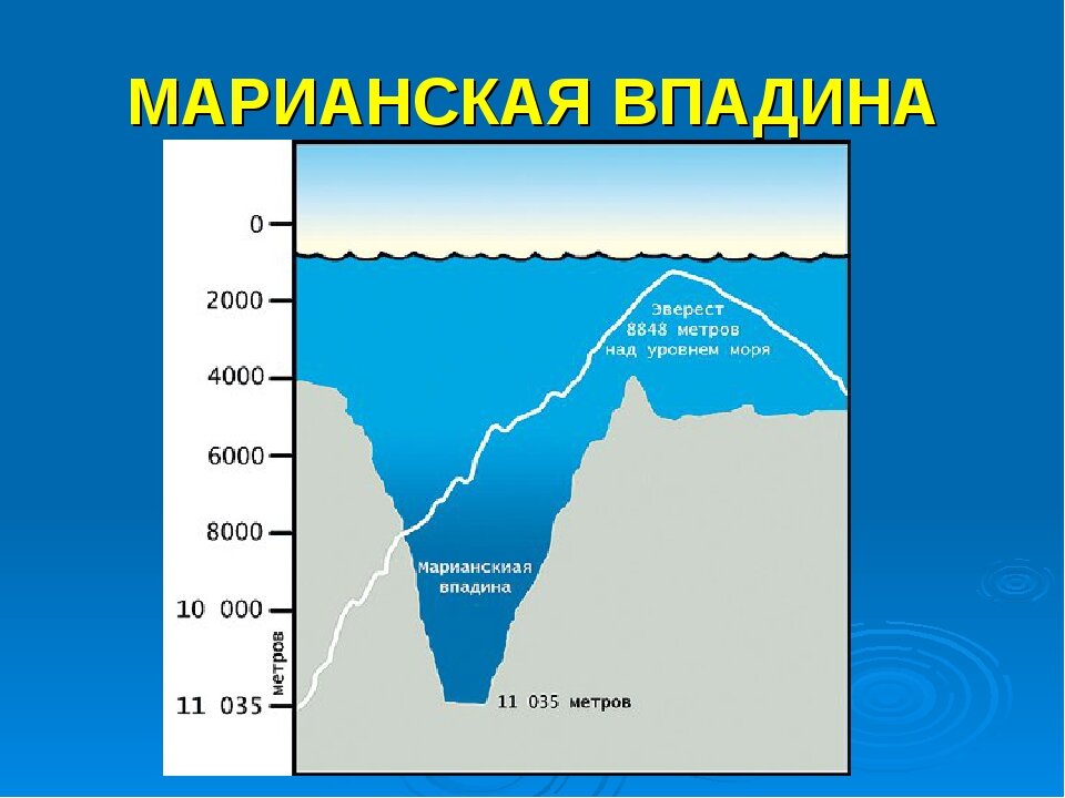 Марианская впадина рисунок