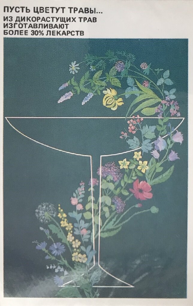 Относитесь бережно к дикорастущим полевым цветам. А в детстве, помнится, в деревне мы собирали зверобой, а потом сдавали его