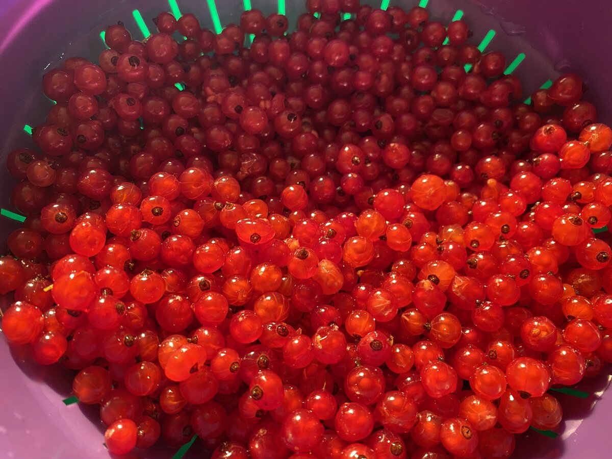 Сезон свежих ягод открыт. У нас на даче в деревне уже большой урожай. Куда как не в компот для детей их  уводить. 