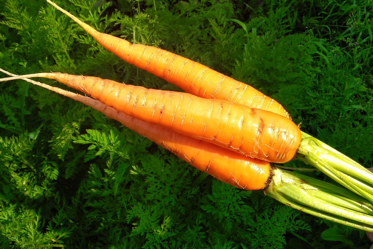 Ради такого события сделала исключение - фото в статье!