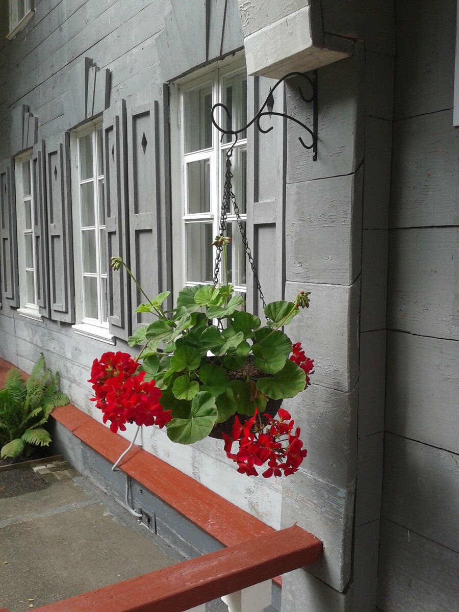 Герань на крылечке дома
